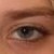 :iconmissedbirch: