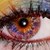 :iconmissfleagle: