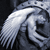 :iconmissflicka: