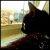 :iconmissgato: