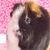 :iconmissguineapig:
