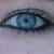 :iconmisshaleydawn: