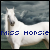 :iconmisshorsie2: