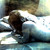 :iconmisshuldra: