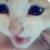 :iconmisshunter: