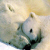 :iconmissibabi07: