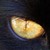 :iconmissing-a-link: