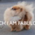 :iconmissj2: