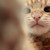 :iconmissjitterbug: