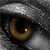 :iconmisskphotography: