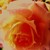 :iconmissmars12: