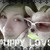 :iconmissmaymay: