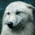 :iconmissmeg0720: