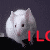 :iconmissmouse321: