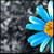 :iconmissmurder7: