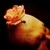 :iconmissnihil: