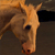 :iconmissnyxx: