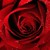:iconmissred62: