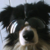 :iconmissshadsie: