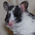 :iconmisssherwood89: