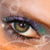 :iconmisssunshinebear: