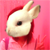 :iconmisstoshio: