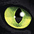 :iconmissventriloquist: