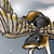 :iconmisswinterwolfess:
