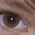:iconmisswood: