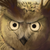 :iconmissyfenstrider: