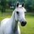 :iconmissyhorse: