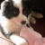 :iconmistaken0: