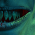 :iconmistamonsta: