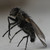 :iconmister-beckz: