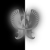 :iconmister-hadrien: