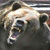 :iconmister-nours: