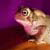 :iconmistercloak: