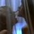 :iconmisterfiction: