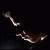 :iconmisterfree: