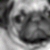 :iconmistersilk: