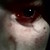 :iconmisterskull:
