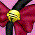 :iconmisteyeddivinity: