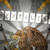 :iconmisticoro95: