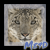 :iconMistique89D: