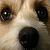 :iconmistmaker: