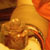 :iconmistralgagnant: