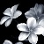 :iconmistressmagiere: