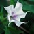 mistrix6 :iconmistrix6: