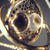 :iconmistwalker36: