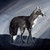 :iconmisty-blackfox: